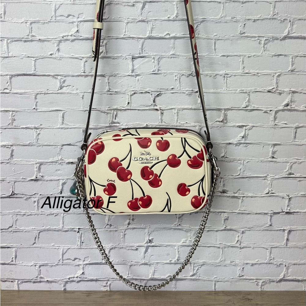 NWTCoach Mini Jamie Camera Crossbody Bag red cherry free unbranded charm&chain